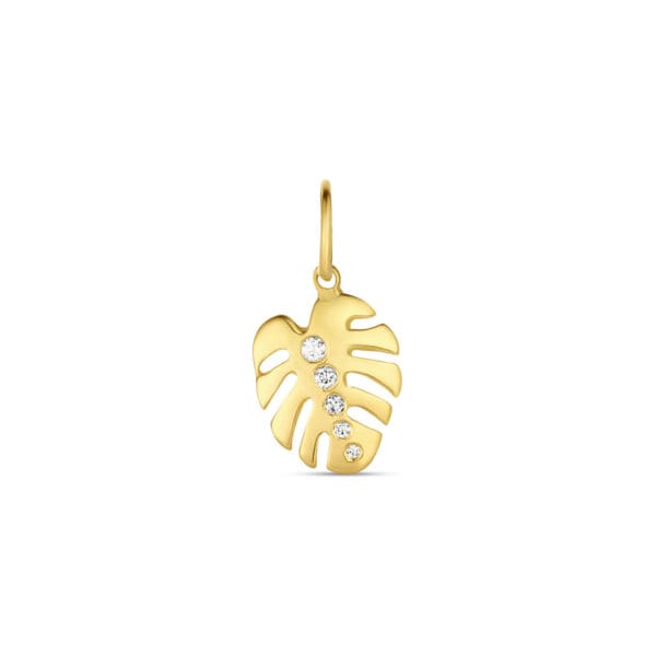 Monstera Diamond Charm