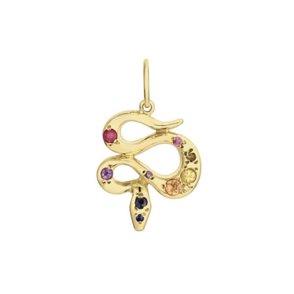Multicolored Serpent Charm